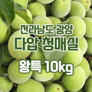 광양 다압 유기농 청매실 예약 10kg 왕특 5월31일 출하